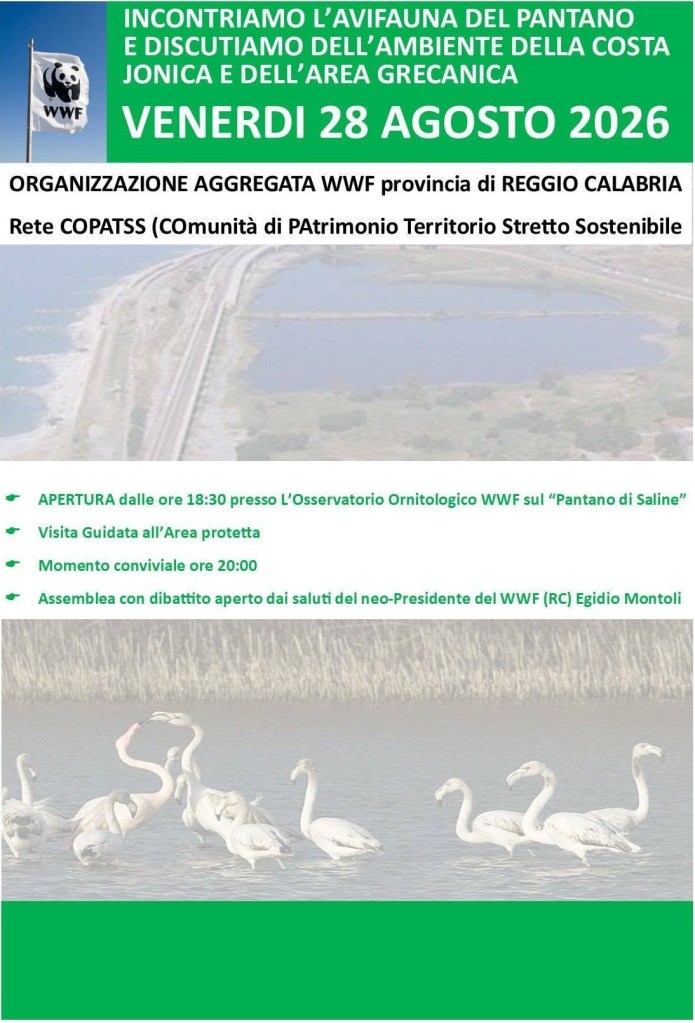 locandina saline agosto