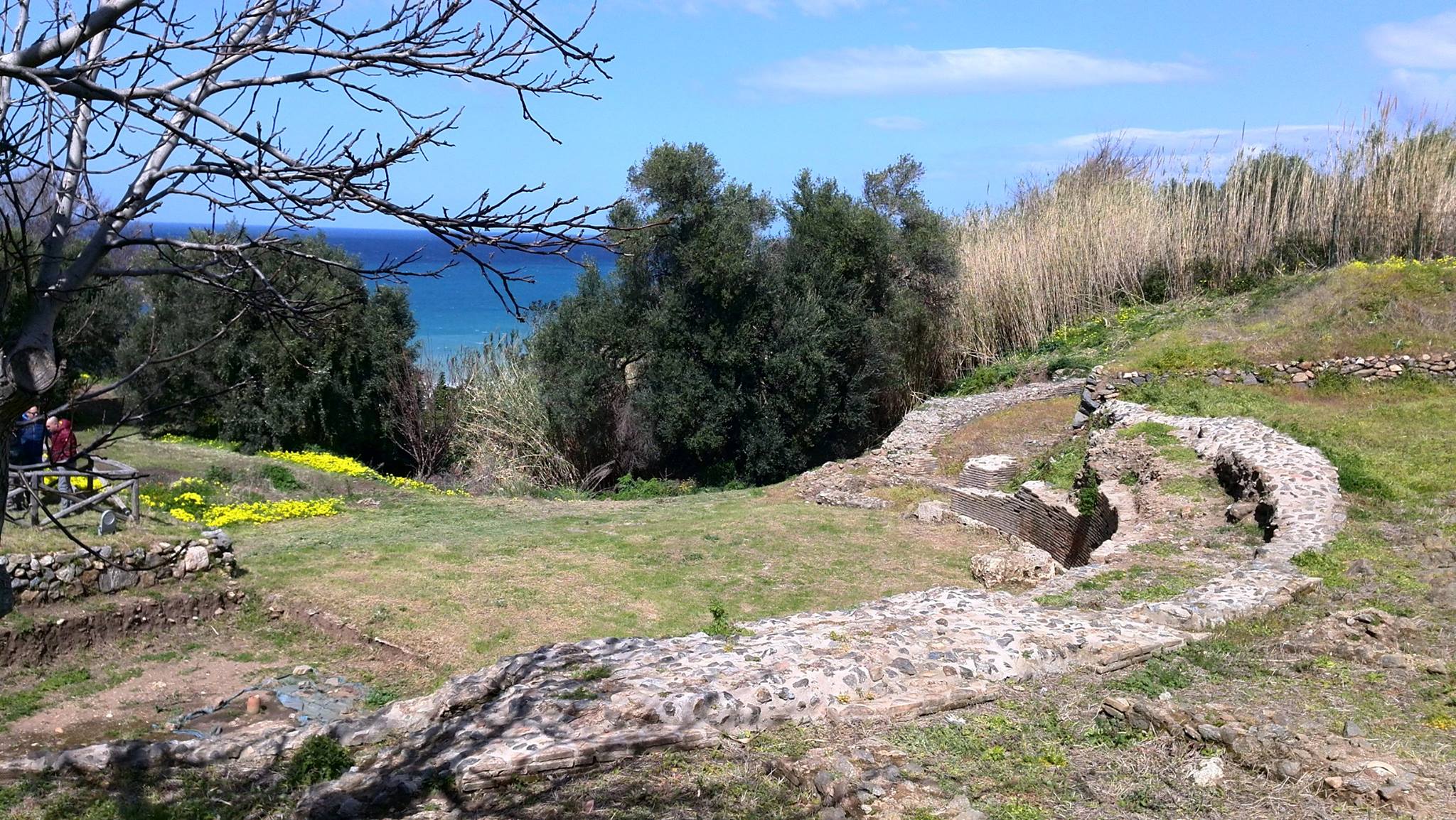 palmi parco taureani