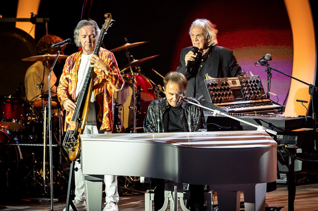 pooh roccella summer festival ()
