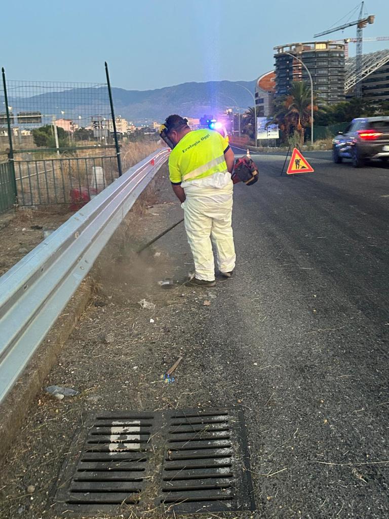 pulizia ponte calopinace ()