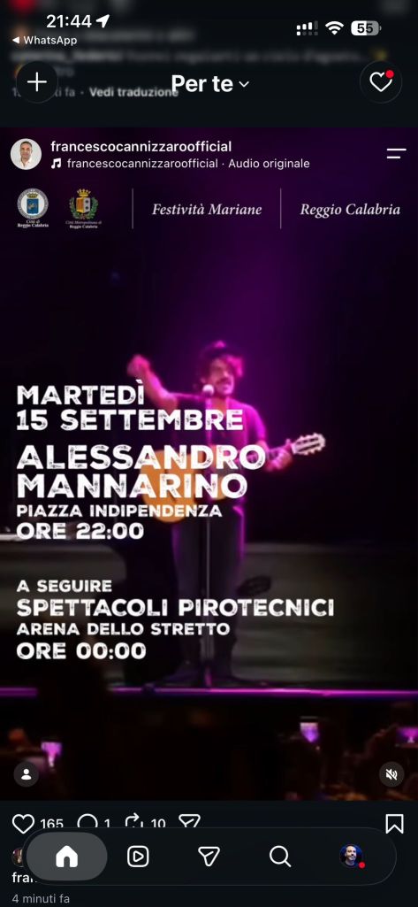 locandina concerto mannarino