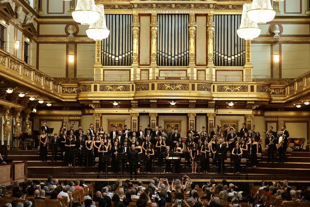 orchestra giovanile laureana borrello the world orchestra festival vienna