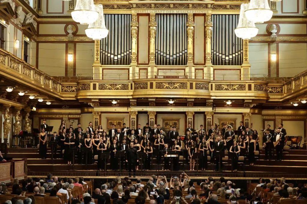 orchestra giovanile laureana borrello the world orchestra festival vienna