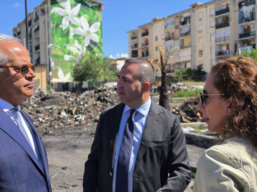piantedosi ferro cannizzaro vaccaro ()