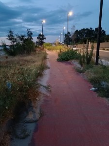 pista ciclabile catona ()