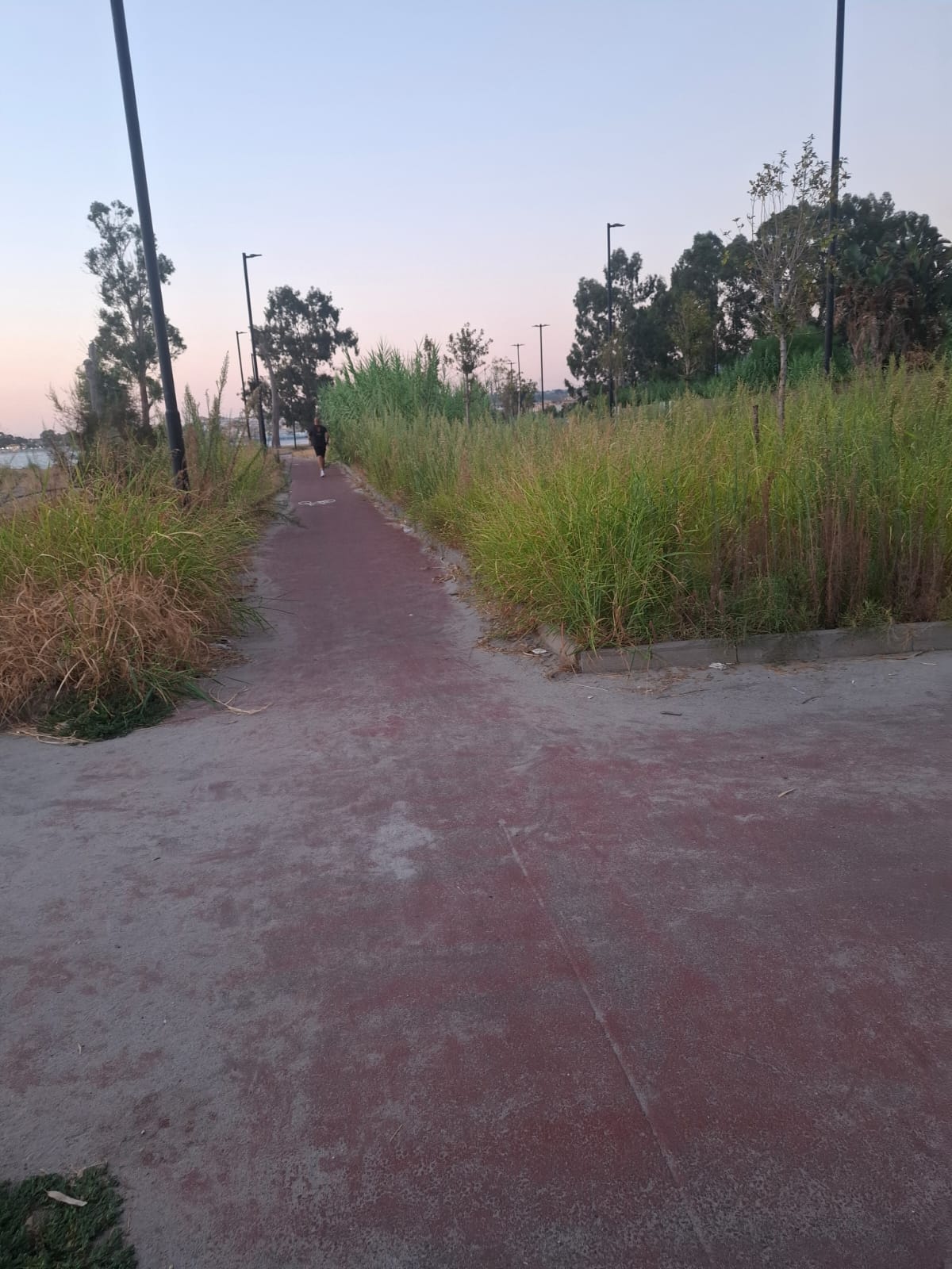 pista ciclabile catona ()