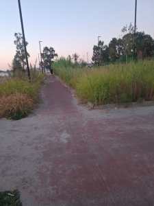 pista ciclabile catona ()