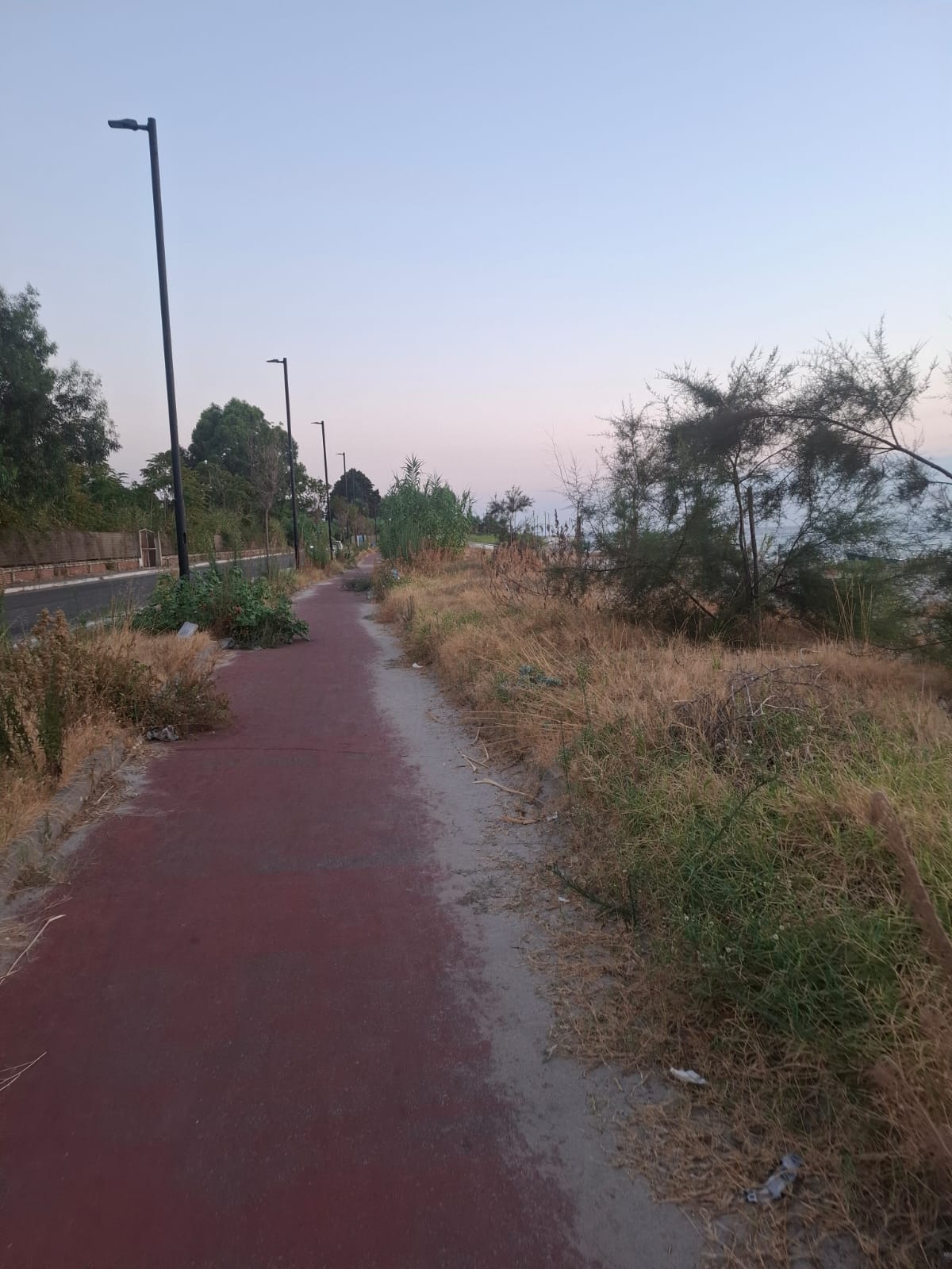 pista ciclabile catona ()