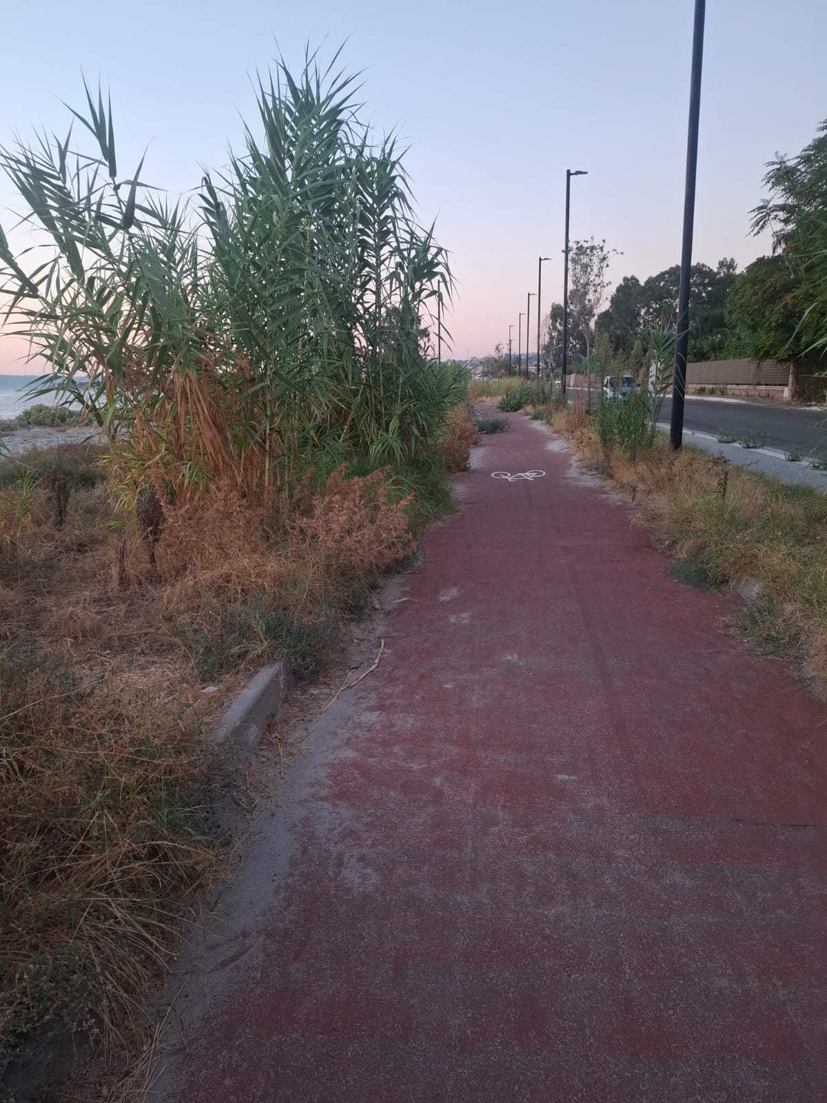 pista ciclabile catona ()