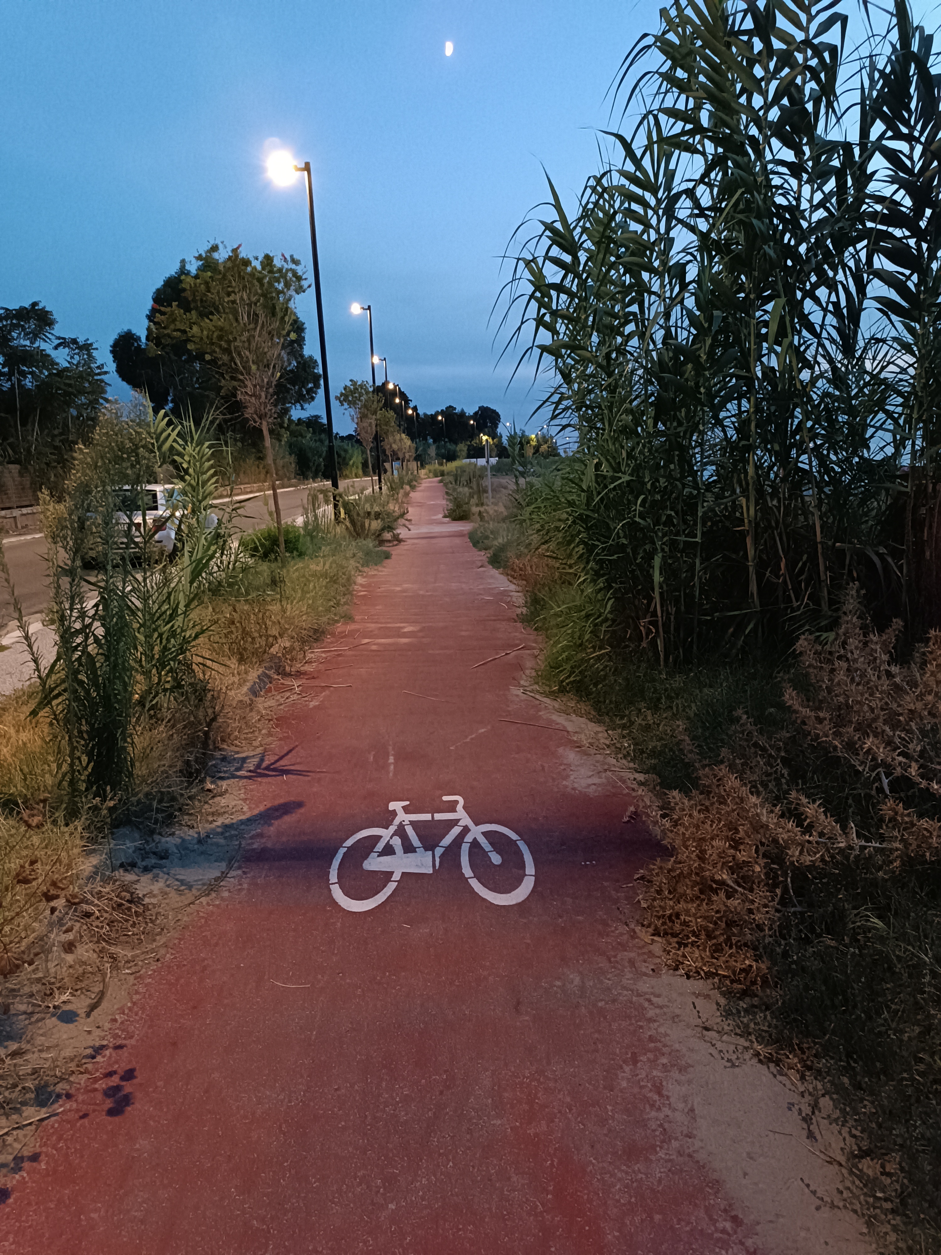 pista ciclabile catona ()