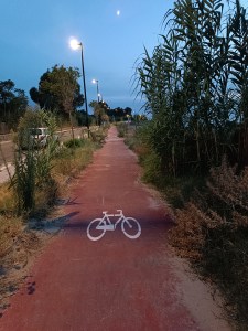 pista ciclabile catona ()