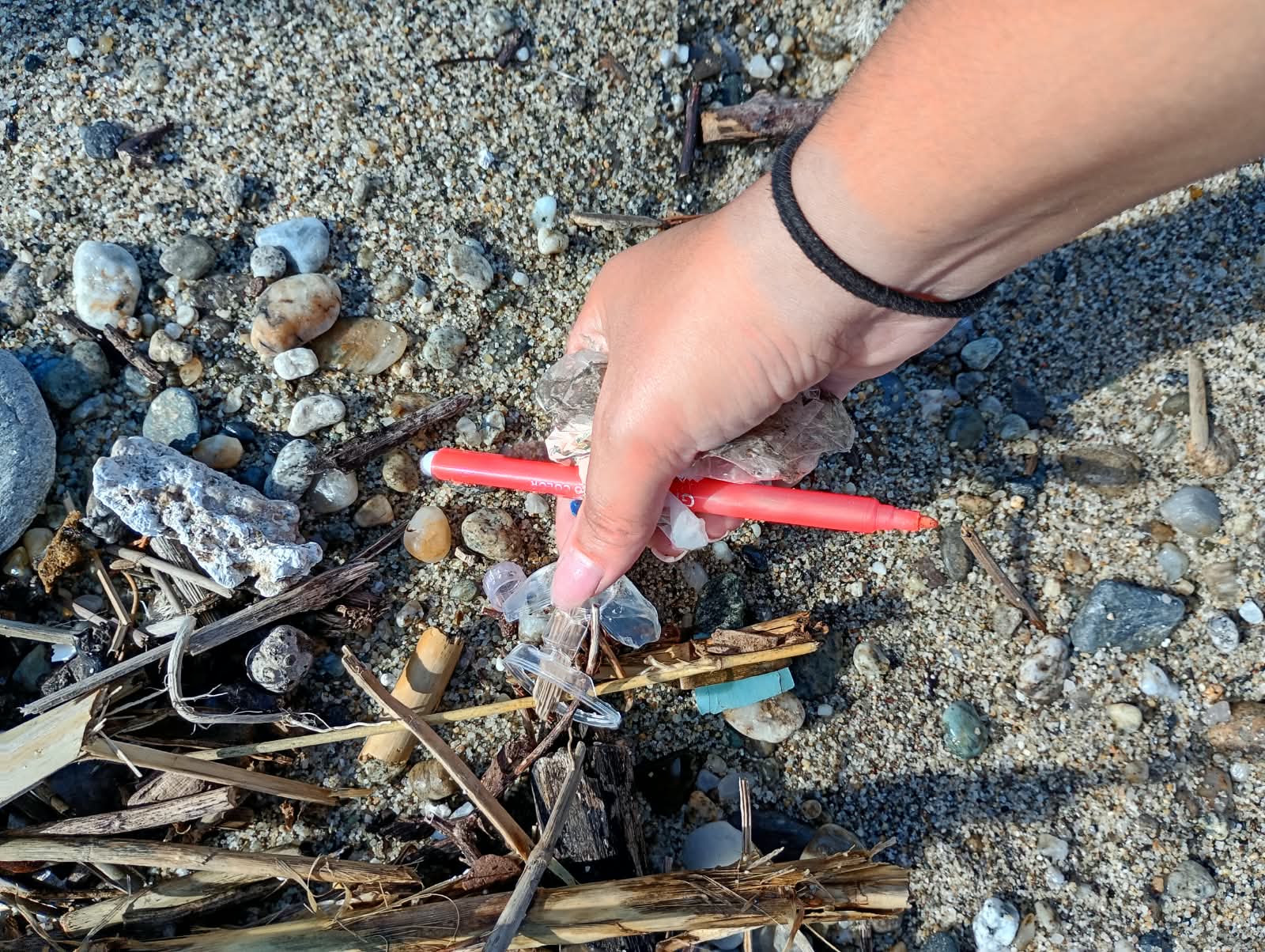 plastic free palmi ()