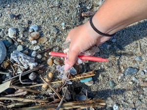 plastic free palmi ()