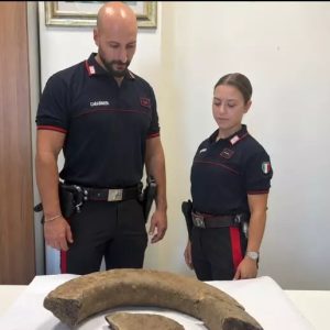 Trovato in Calabria un reperto di epoca greco-romana dopo un incendio