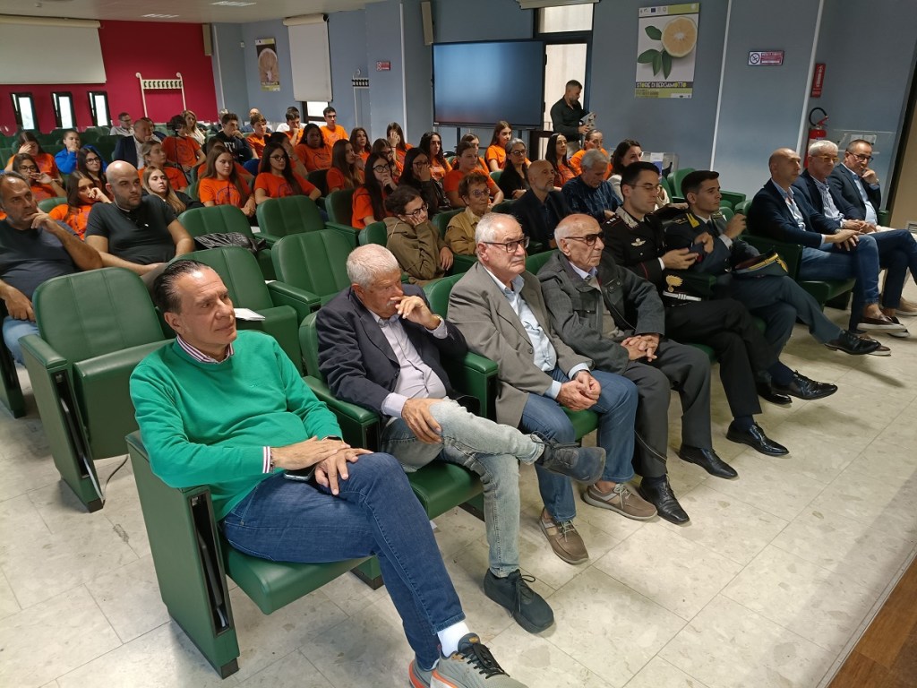 Fipav anni