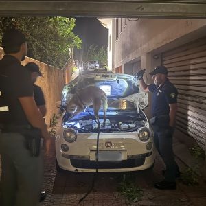 Villa, cocaina nel fanale e cannabis sotto il cambio: arrestato