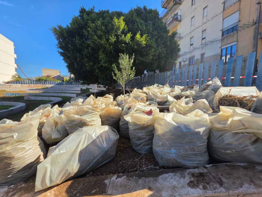 Parco Tomba ellenistica ()