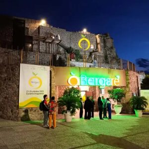 Reggio, Bergarè 2026: al via il contest “La migliore vetrina”