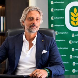 Maltempo nell’Area Grecanica, Confagricoltura: ‘Avviare l’iter per lo stato di calamità’