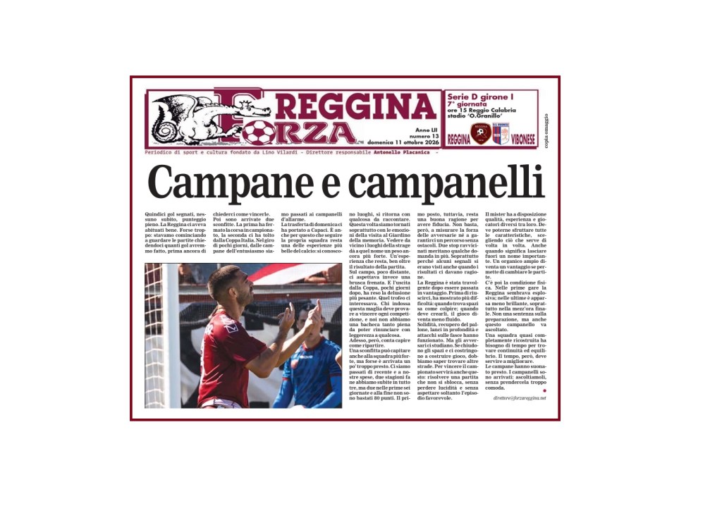 forzaregginavibonese