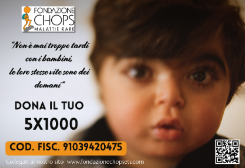 grafica fondazione chops donazioni