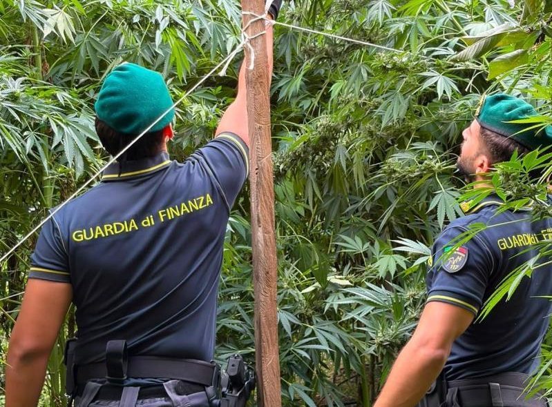 marijuana finanza
