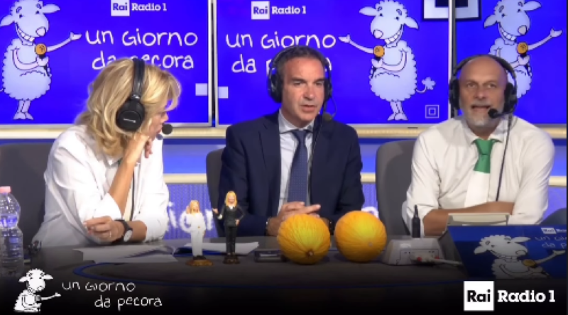 occhiuto un giorno da pecora