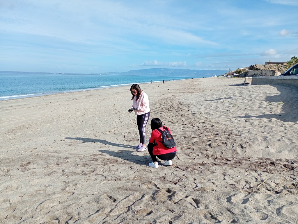 plastic free seconda chance pietrenere palmi volontari ()