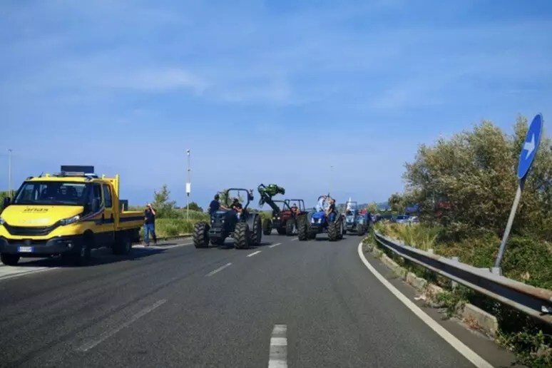 protesta agricoltori calabresi