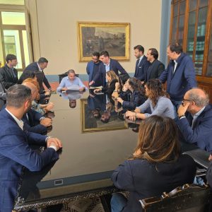 Caso mense scolastiche a Reggio, Cannizzaro: ‘Saremo consiglieri ispettori’ – VIDEO