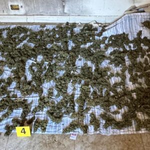 Marijuana stesa ad asciugare e in un sacco di plastica: un arresto nel reggino
