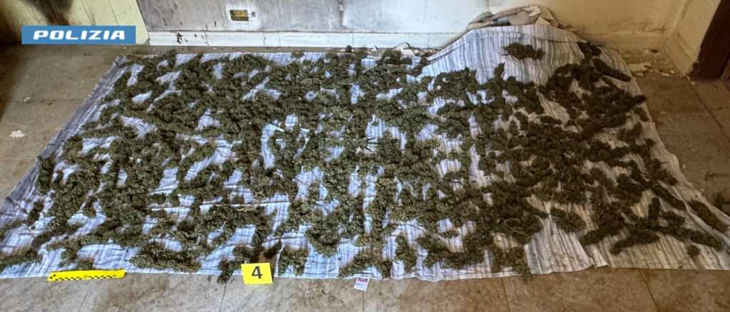 sinopoli polizia di stato sequestro marijuana telo sacco