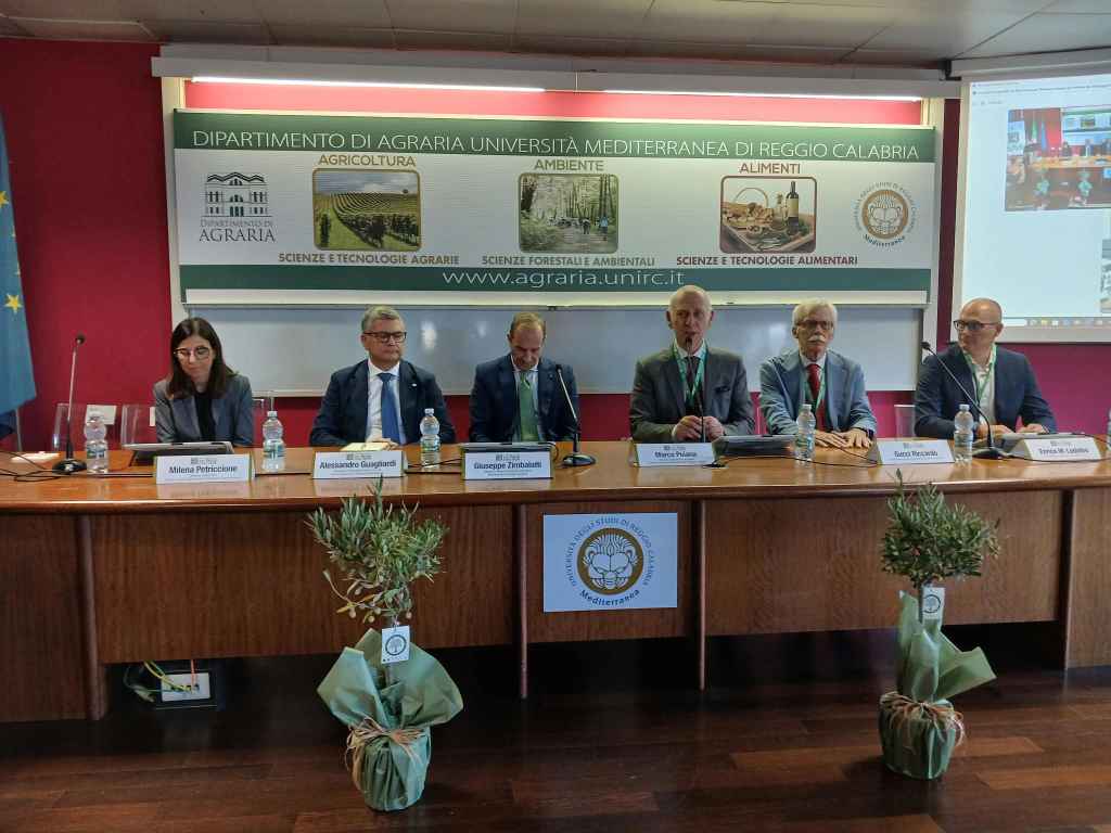 Il tavolo dei relatori al convegno dell'Olivo e dell'Olio, nella sala del Dipartimento di Agraria dell'Università Mediterranea