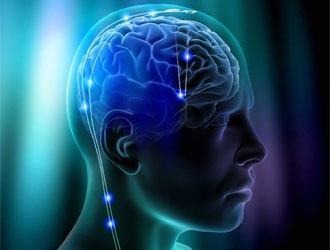 Rivista scientifica Neural Plasticity, articoli di neuroscienze e psicologia ad accesso libero