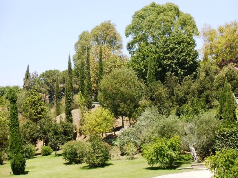 Ente Parco, infrastrutture informatiche al servizio dell’Aspromonte