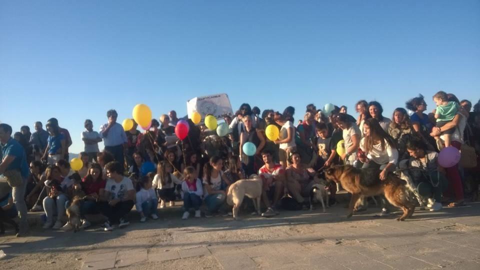 Dacci Una Zampa Onlus presenta la seconda “Passeggiata dell’adozione” a Reggio Calabria.