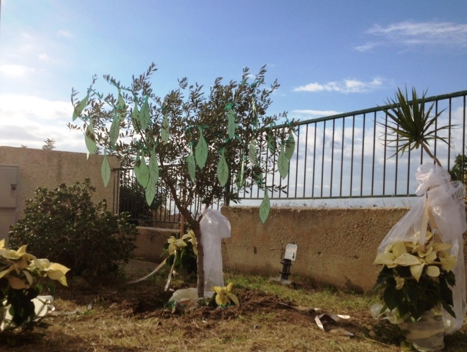 Inaugurato l’albero della vita dell’Hospice. Il dott. Trapani: “Simbolo di forza ed accoglienza”. GUARDA LE FOTO